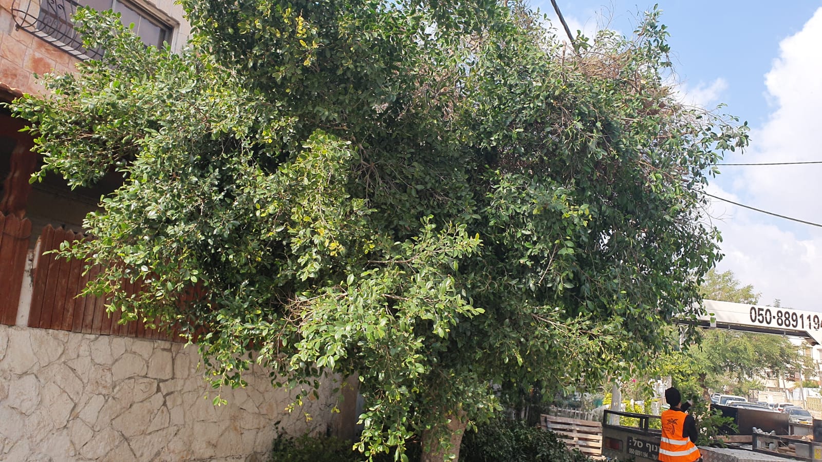 WhatsApp Image 2020-01-29 at 1.18.38 PM (2).jpeg.jpeg